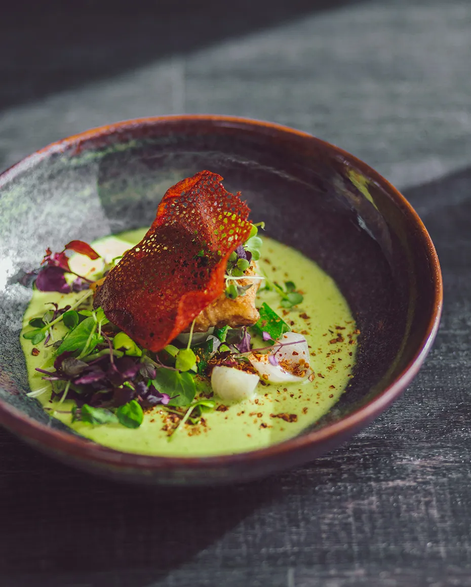 Suppe